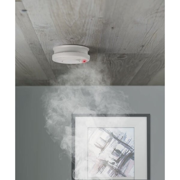 Smoke detector 2 gift suppliers